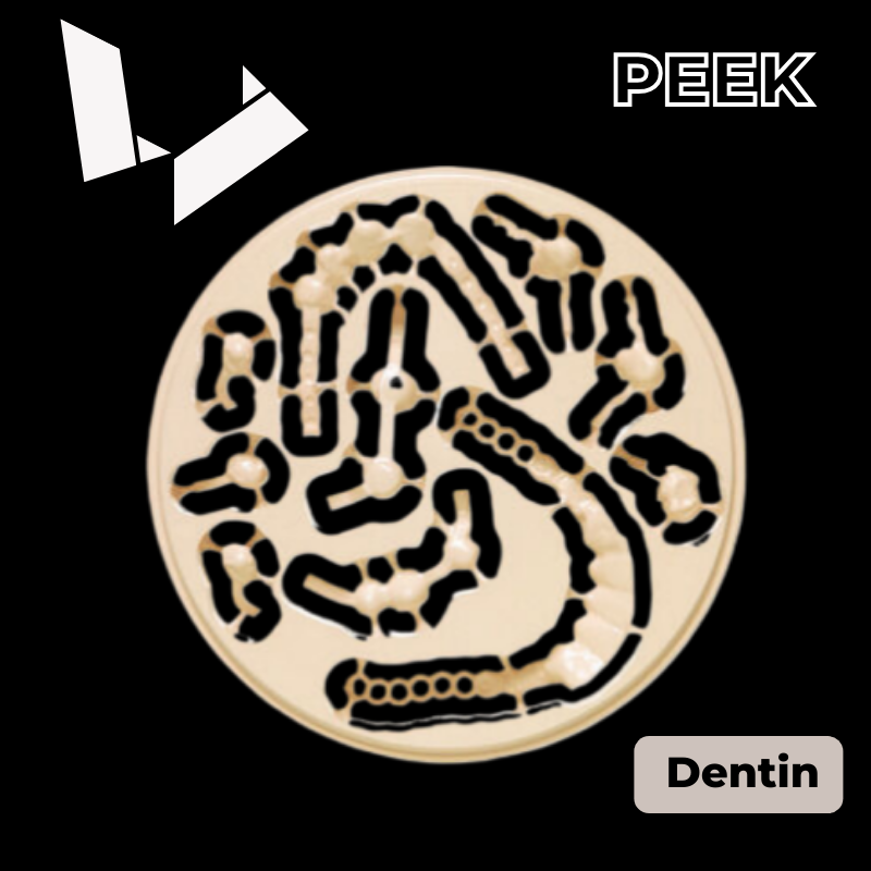 Dental PEEK Cad Cam Disc - Dentin – WallaBC Official