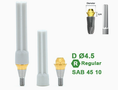 Ø4.5 Ø5.5 Screw Abutment for Dentium SuperLine ll, SuperLine, and implantium
