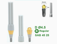 Ø4.5 Ø5.5 Screw Abutment for Dentium SuperLine ll, SuperLine, and implantium