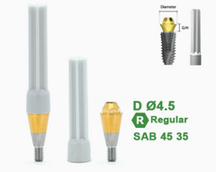 Ø4.5 Ø5.5 Screw Abutment for Dentium SuperLine ll, SuperLine, and implantium