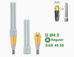Ø4.5 Ø5.5 Screw Abutment for Dentium SuperLine ll, SuperLine, and implantium