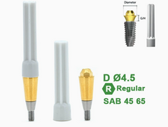 Ø4.5 Ø5.5 Screw Abutment for Dentium SuperLine ll, SuperLine, and implantium