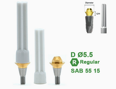 Ø4.5 Ø5.5 Screw Abutment for Dentium SuperLine ll, SuperLine, and implantium