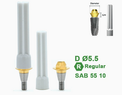 Ø4.5 Ø5.5 Screw Abutment for Dentium SuperLine ll, SuperLine, and implantium