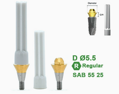 Ø4.5 Ø5.5 Screw Abutment for Dentium SuperLine ll, SuperLine, and implantium