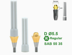 Ø4.5 Ø5.5 Screw Abutment for Dentium SuperLine ll, SuperLine, and implantium