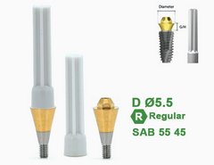 Ø4.5 Ø5.5 Screw Abutment for Dentium SuperLine ll, SuperLine, and implantium