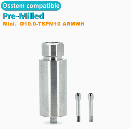 Ø1.0 Ø14 PreMilled Abutment / Custom CAD CAM Blank fits fitting with Osstem