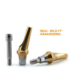 17° Mini-Angled Abutment (Ø4.0 Ø4.5mm) Compatible with Osstem TS implant System