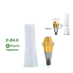 Ø4.8mm Multi Straight Abutment Compatible with Osstem TS Implant System