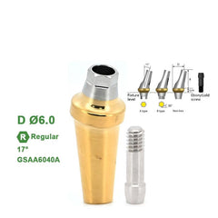 17° Regular-Angled Abutment (Ø4.5 Ø5.0 Ø6.0mm) Compatible with Osstem TS Implant System