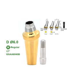 17° Regular-Angled Abutment (Ø4.5 Ø5.0 Ø6.0mm) Compatible with Osstem TS Implant System