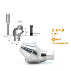 17° / 30° Multi Angled Abutment Compatible with Osstem TS Implant System